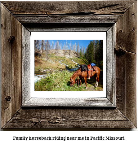 family horseback riding near me in Pacific, Missouri